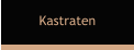 Kastraten